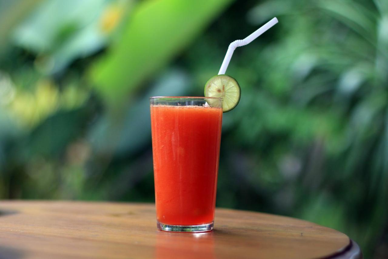 Hotel Esty House Ubud Zewnętrze zdjęcie